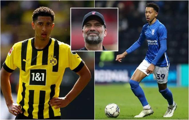 6枚金牌告急！王励勤走险棋，48岁新帅真能顶住吗？